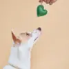 Soulmate Heart 多功能吊飾 - 金