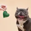 Soulmate Heart 多功能吊飾 - 金